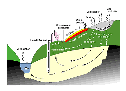 environmental impact assessments